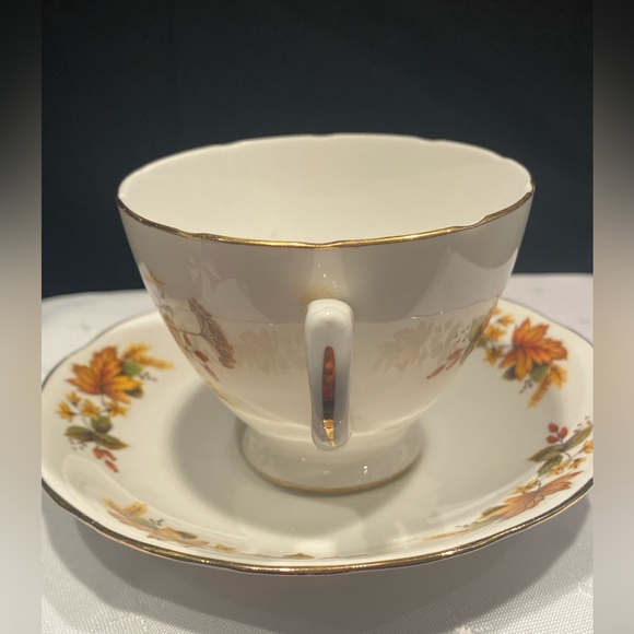 Queen Anne Teacup and Saucer, Ridgway Potteries,Fall Autumn, English Bone China - Picture 5 of 9
